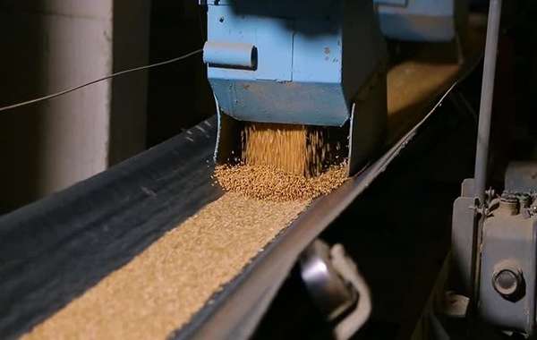 نوار نقاله گندم مناسب خطوط انتقال سریع و ایمن